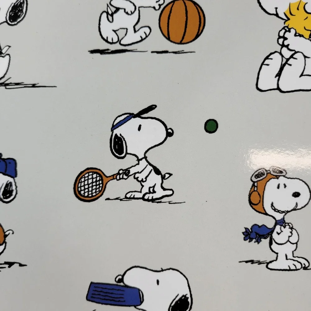 Pottery Barn Kids Peanuts Snoopy Woodstock Placemats 2018 Cork Back Set of 4